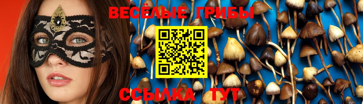 Белая Калитва  Псилоцибиновые грибы ЛСД  Вход с VPN 
